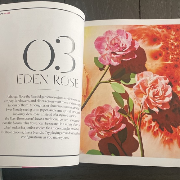 The exquisite book of paper flower transformations by artist Livia Cetti - Picture 7 of 9